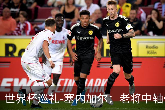 世界杯巡礼-塞内加尔：老将中轴带来安全感，非洲顶流前景可期！