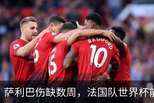 萨利巴伤缺数周，法国队世界杯前景堪忧！