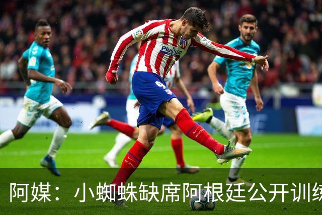 阿媒：小蜘蛛缺席阿根廷公开训练，他可能在第二场友谊赛中出场